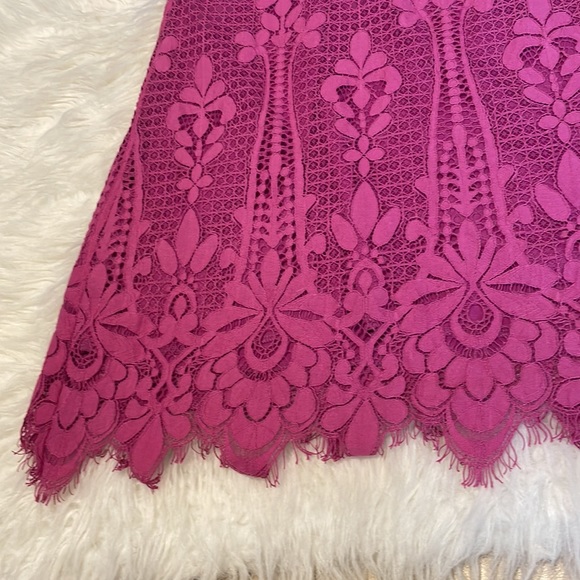 Francesca’s Mini Lace Dress - Picture 5 of 8